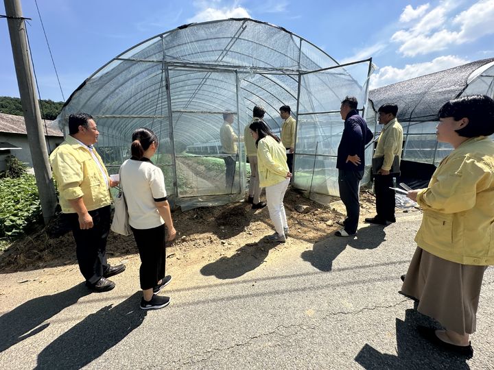[음성=뉴시스] 음성군 임직원들이 폭염 피해 최소화를 위해 농가 현장을 점검하는 모습. (사진=음성군 제공) photo@newsis.com *재판매 및 DB 금지