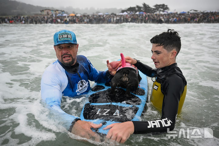 [퍼시피카=AP/뉴시스] 2일(현지 시간) 미국 캘리포니아 퍼시피카에서 열린 연례 세계 도그 서핑 챔피언십에서 보호자들이 서핑보드 위에 강아지를 올려놓고 있다. 2025.08.04.
