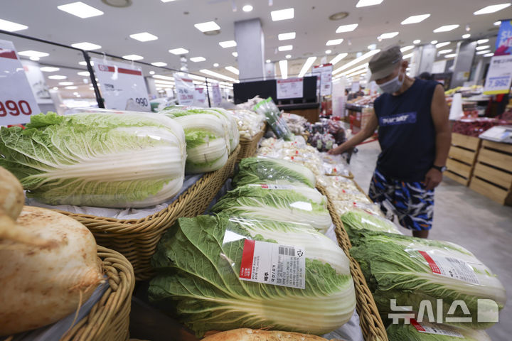 [서울=뉴시스] 김근수 기자 = 최근 폭염 여파로 일부 농산물 가격이 오른 가운데 3일 서울 시내의 한 대형마트 매대에 배추가 놓여 있다. 한국농수산식품유통공사(aT)에 따르면 수박 평균 소매가격은 지난 1일 기준 1개에 3만 3337원으로 1년 전과 비교하면 17.6% 올랐다. 토마토 소매가격은 1kg에 6716원으로 1년 전보다 42.6% 비싸고 평년보다 33.2% 높다. 여름철 가격 변동 폭이 큰 배추의 경우 1개 소매가격이 6114원으로 6000원을 넘었다. 1년 전, 평년과 비교해 각각 11.2%, 11.3% 올랐다. 2025.08.03. ks@newsis.com