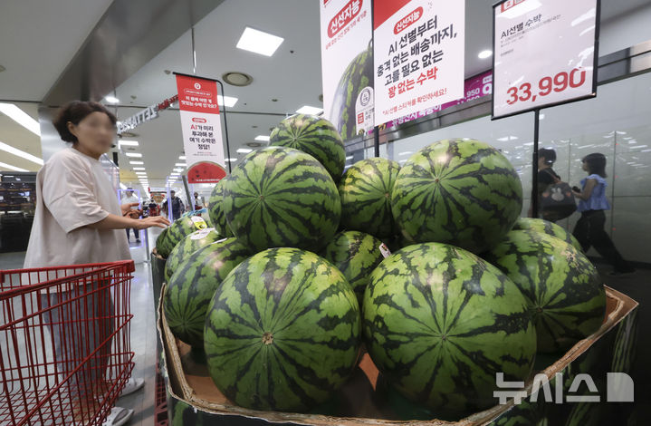 [서울=뉴시스] 김근수 기자 = 최근 폭염 여파로 일부 농산물 가격이 오른 가운데 3일 서울 시내의 한 대형마트 매대에 수박이 놓여 있다. 한국농수산식품유통공사(aT)에 따르면 수박 평균 소매가격은 지난 1일 기준 1개에 3만 3337원으로 1년 전과 비교하면 17.6% 올랐다. 토마토 소매가격은 1kg에 6716원으로 1년 전보다 42.6% 비싸고 평년보다 33.2% 높다. 여름철 가격 변동 폭이 큰 배추의 경우 1개 소매가격이 6114원으로 6000원을 넘었다. 1년 전, 평년과 비교해 각각 11.2%, 11.3% 올랐다. 2025.08.03. ks@newsis.com