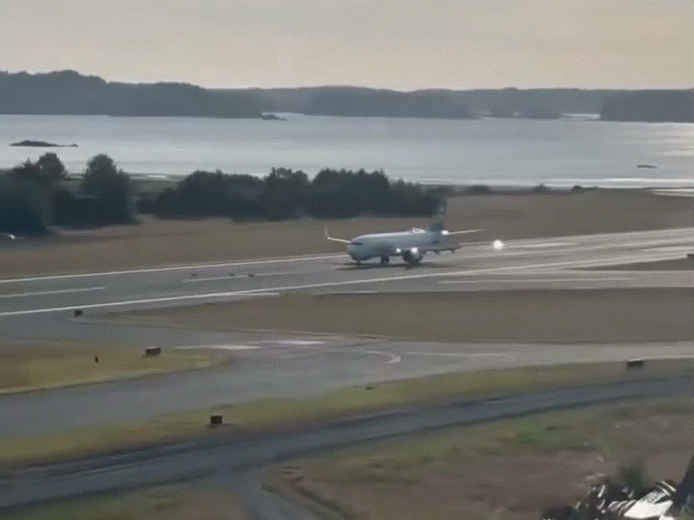 [뉴시스] 알래스카 항공 소속 보잉 737 항공기가 착륙 도중 활주로에 있는 사슴과 충돌했다. (사진=맨스저널) 2025.07.26. *재판매 및 DB 금지