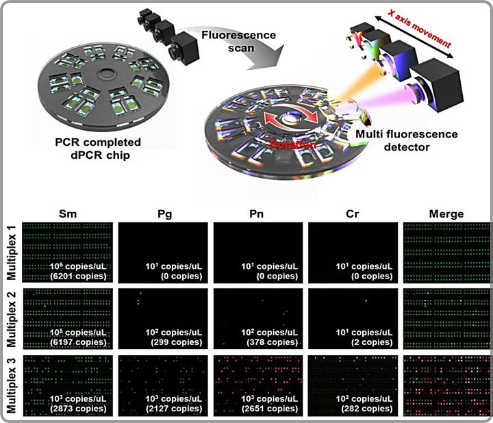 [대전=뉴시스] 플라즈모닉 광열 디지털 PCR 형광 스캐닝 개략도(윗쪽) 및 다종 유전자 동시 검출 이미지.(사진=생명연구원 제공) *재판매 및 DB 금지