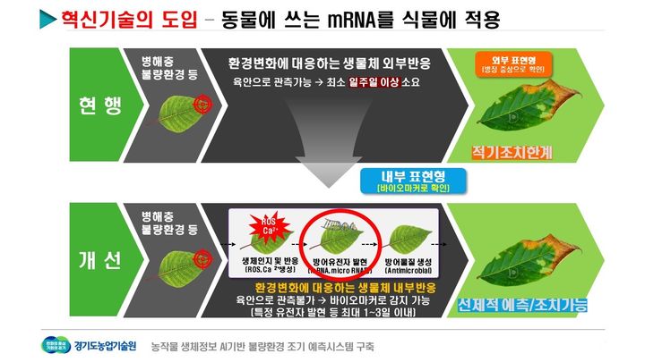 [수원=뉴시스] 생체정보 기반 불량환경 대응 체계. (사진=경기도농업기술원 제공) 2025.08.04. photo@newsis.com *재판매 및 DB 금지