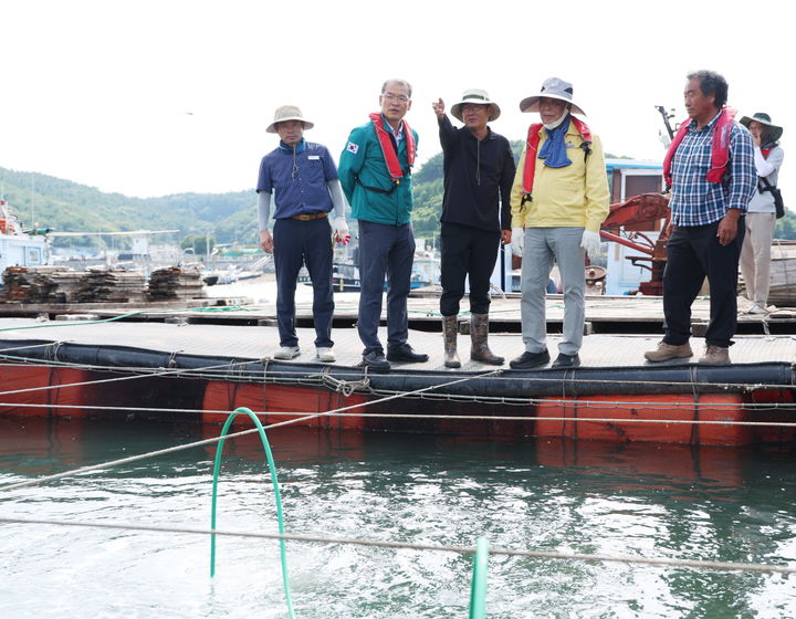 [태안=뉴시스] 가세로(왼쪽 4번째) 태안군수가 지난 2일 천수만 태안해역의 한 가두리 양식장을 찾아 관계자로부터 고수온 대응 상황을 듣고 있다. (사진=태안군 제공) 2025.08.04. photo@newsis.com *재판매 및 DB 금지