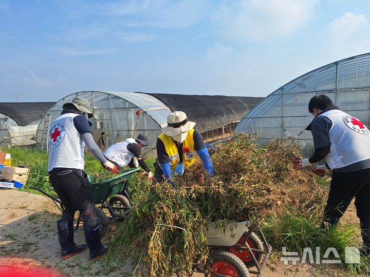 대한적십자사 인천지사 제공
