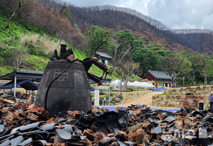 [의성=뉴시스] 김진호 기자 = 천년고찰 고운사 주변 숲이 지난 3월 발생한 대형 산불로 소실돼 까맣게 변해 있다. 2025.08.04. kjh9326@newsis.com