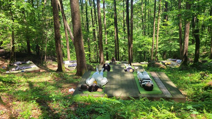 [대구=뉴시스]대구시 달성군 비슬산 치유의 숲에서 명상을 하는 모습이다(사진=달성군 제공) 2025.08.04 photo@newsis.com *재판매 및 DB 금지
