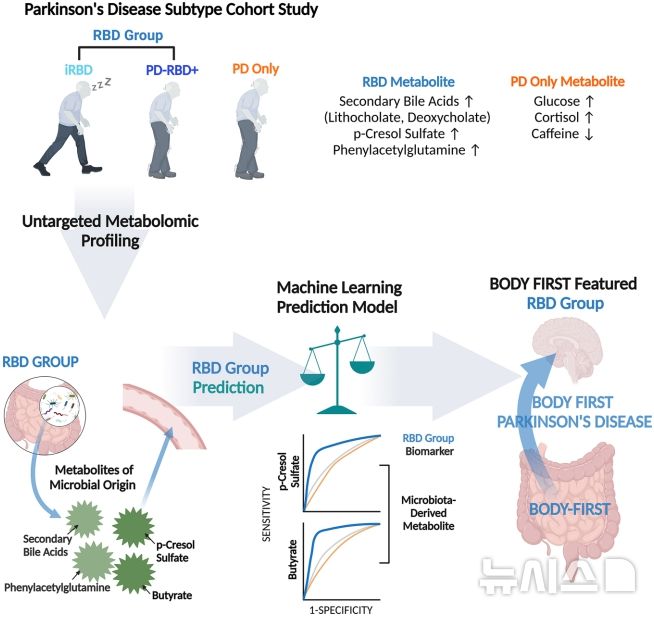 [서울=뉴시스] 렘수면행동장애(RBD) 유무에 따른 파킨슨병 하위 유형 대사체 프로파일. (사진= 서울대병원 제공)