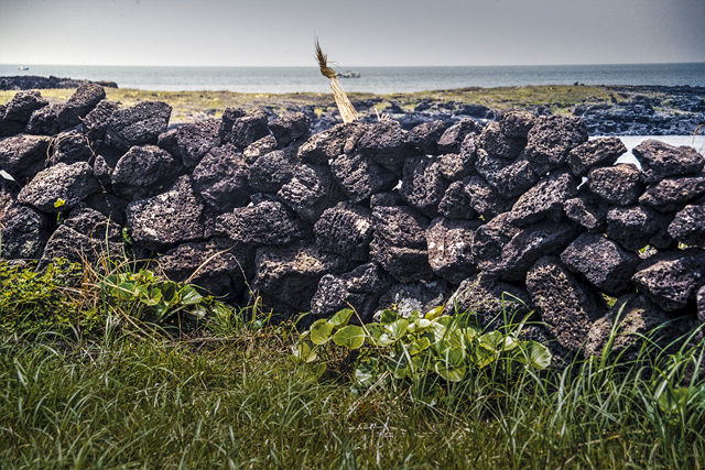 [제주=뉴시스] 고광민 作 '바당밭'. (사진=큰바다영 제공) *재판매 및 DB 금지