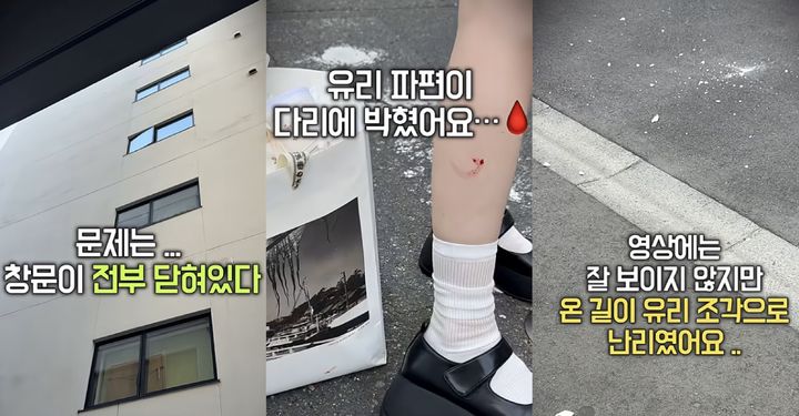 [뉴시스] 도쿄 주택가서 유리 파편에 맞은 한국인 유튜버. (출처=유튜브 '태리태리') *재판매 및 DB 금지