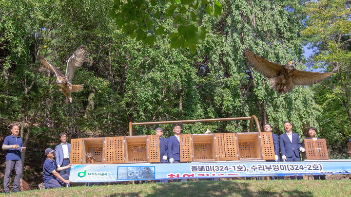 [대전=뉴시스]대전오월드가 4일 작년에 이어 자체 번식에 성공한 멸종위기종 올빼미와 수리부엉이를 자연으로 방사하고 있다. 2025. 08. 04 photo@newsis.com *재판매 및 DB 금지