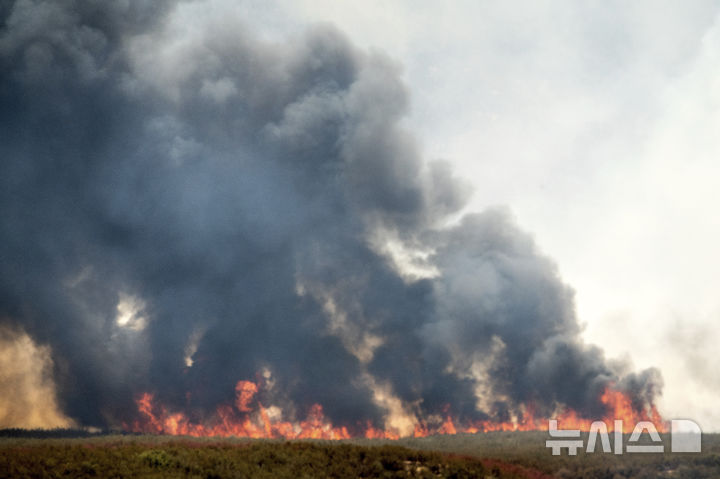 [로스파드리스국유림=AP/뉴시스] 4일(현지 시간) 미 캘리포니아주 로스파드리스 국유림에서 '기퍼드 파이어' 산불이 발생해 연기가 치솟고 있다. 2025.08.05.
