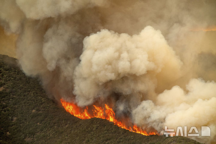 [로스파드리스국유림=AP/뉴시스] 4일(현지 시간) 미 캘리포니아주 로스파드리스 국유림에서 '기퍼드 파이어' 산불이 발생해 연기가 치솟고 있다. 2025.08.05.