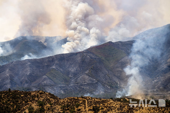 [로스파드리스국유림=AP/뉴시스] 4일(현지 시간) 미 캘리포니아주 로스파드리스 국유림에서 '기퍼드 파이어' 산불이 발생해 연기가 치솟고 있다. 2025.08.05.