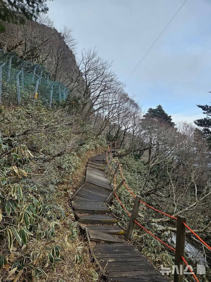 [제주=뉴시스] 한라산 관음사 탐방로 삼각봉 구간 낙석방지시설이 훼손된 모습. (사진=독자 제공) 2025.08.05. photo@newsis.com