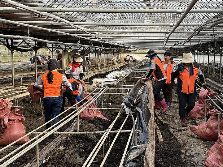 가평 수해복구 지원봉사 동참하고 있다. *재판매 및 DB 금지