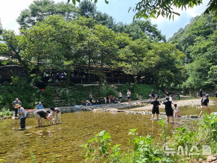 충남권 최고체감온도 33~35도 안팎 '무더위'…밤에는 '열대야'