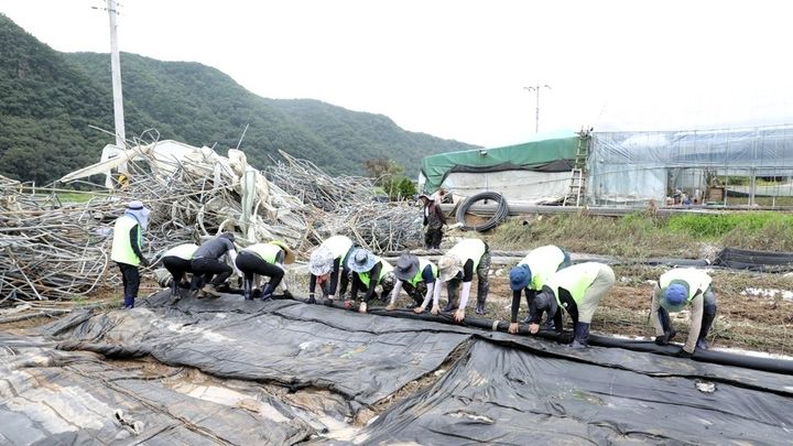 [창원=뉴시스]경남농협 금융계열사 직원합동 수해복구.(사진=경남농협 제공) 2025.08.05.photo@newsis.com *재판매 및 DB 금지