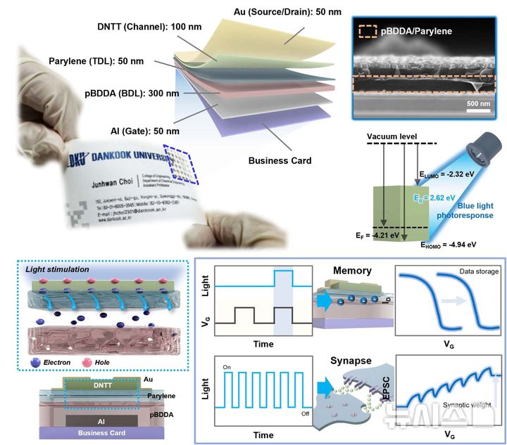 [용인=뉴시스]종이 명함에 제작된 차세대 AI반도체의 정보 저장 및 인공 시냅스 기능(사진=단국대 제공)2025.08.05.photo@newsis.com