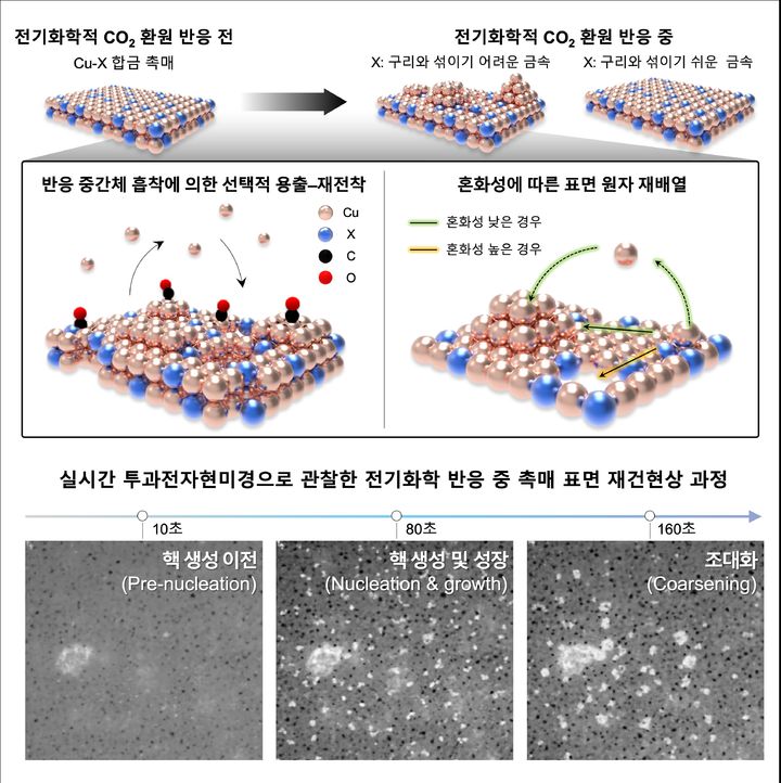 [서울=뉴시스] 구리 이원계 합금 촉매의 재건 메커니즘 개념도 및 구리–은 합금 박막에서 전기화학 이산화탄소 환원 반응 중 발생하는 표면 나노입자의 형성과 성장 과정을 실시간으로 관찰한 결과. (사진=고려대 제공) 2025.08.05. photo@newsis.com *재판매 및 DB 금지