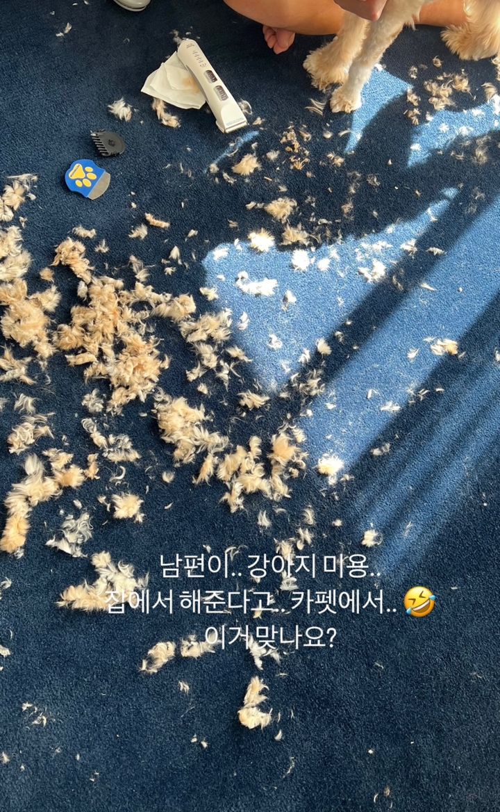 [서울=뉴시스] 배우 한예슬이 5일 소셜미디어에 글과 사진을 올렸다. (사진=한예슬 인스타그램 캡처) 2025.08.05. photo@newsis.com *재판매 및 DB 금지