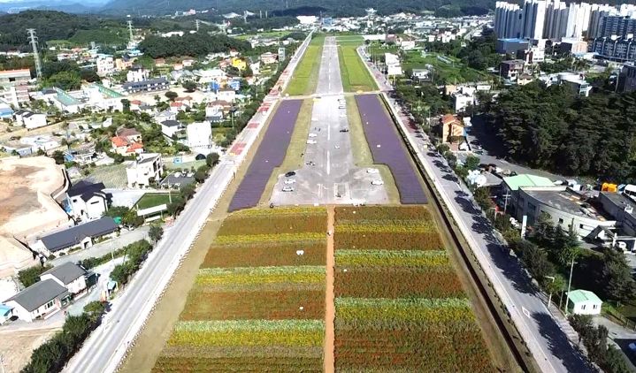 제천국제음악영화제가 열릴 제천비행장 *재판매 및 DB 금지