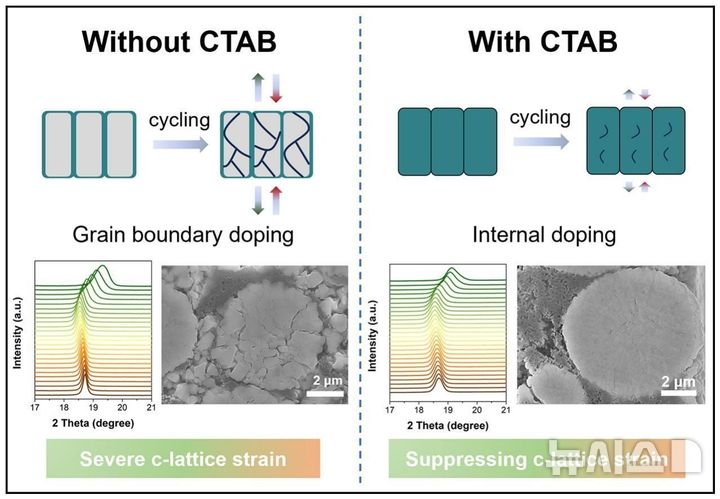 연구 이미지.(사진=포스텍 제공)