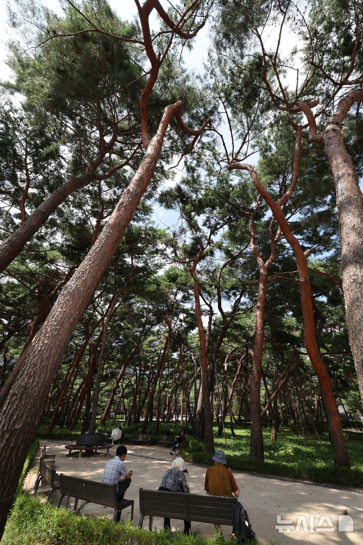 [서울=뉴시스] 배훈식 기자 = 전국 곳곳에 폭염 특보가 발효된 5일 오후 서울 강북구 솔밭 근린공원을 찾은 시민들이 나무 그늘 아래 앉아 더위를 식히고 있다. 2025.08.05. dahora83@newsis.com