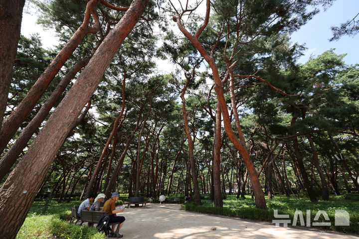[서울=뉴시스] 배훈식 기자 = 전국 곳곳에 폭염 특보가 발효된 지난 5일 오후 서울 강북구 솔밭 근린공원을 찾은 시민들이 나무 그늘 아래 앉아 더위를 식히고 있다. 2025.08.05. dahora83@newsis.com