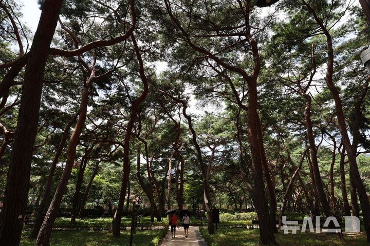 [서울=뉴시스] 배훈식 기자 = 전국 곳곳에 폭염 특보가 발효된 5일 오후 서울 강북구 솔밭 근린공원을 찾은 시민들이 나무 그늘 아래를 걸으며 더위를 식히고 있다. 2025.08.05. dahora83@newsis.com