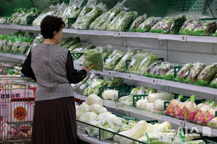 [서울=뉴시스] 조성우 기자 = 5일 서울의 한 대형마트에서 시민이 장을 보고 있다. 2025.08.05. xconfind@newsis.com