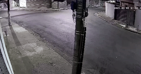 [뉴시스] 브라질에서 3살 여아가 기저귀만 입은 채 도로를 돌아다니다 구조됐다. 2025.08.06.(사진=데일리메일 캡처). *재판매 및 DB 금지