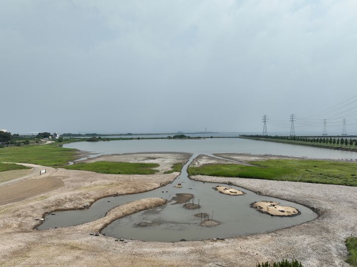 [안산=뉴시스] 대부바다향기테마파크 내 염생식물군락지 전경.(사진=안산시 제공)2025.08.06.photo@newsis.com *재판매 및 DB 금지