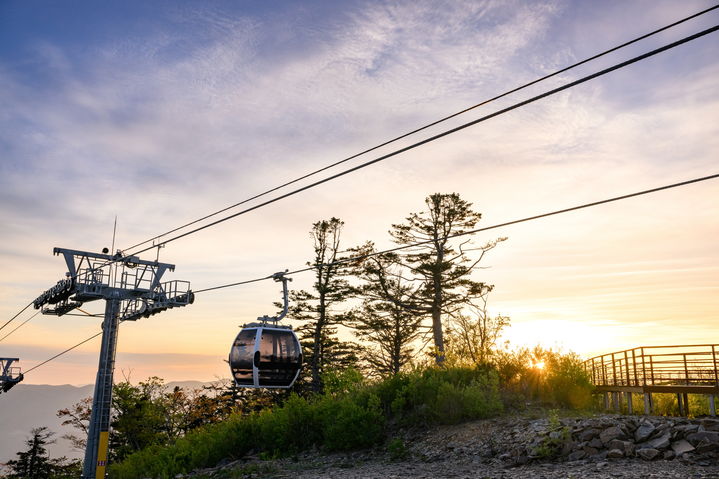 정선지역 여름철 대표 힐링 명소로 각광받고 있는 가리왕산 케이블카.(사진=정선군 제공) *재판매 및 DB 금지