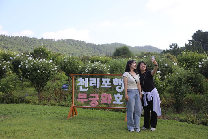 [태안=뉴시스] 천리포수목원 탐방객이 지난 5일 무궁화동산에 마련된 포토존에서 사진을 찍고 있다. (사진=천리포수목원 제공) 2025.08.06. photo@newsis.com *재판매 및 DB 금지