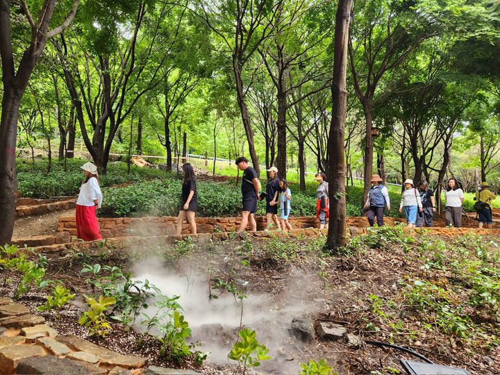 [진주=뉴시스]진주시, 월아산 숲속의 진주 '맨발로 숲' 프로그램 진행.(사진=진주시 제공).2025.08.06.photo@newsis.com *재판매 및 DB 금지
