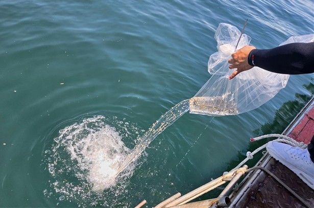 [부산=뉴시스] 한국수산자원공단은 남해군 연안에 갑오징어 종자를 방류하고 있다. (사진=한국수산자원공단 제공) 2025.08.06. photo@newsis.com *재판매 및 DB 금지