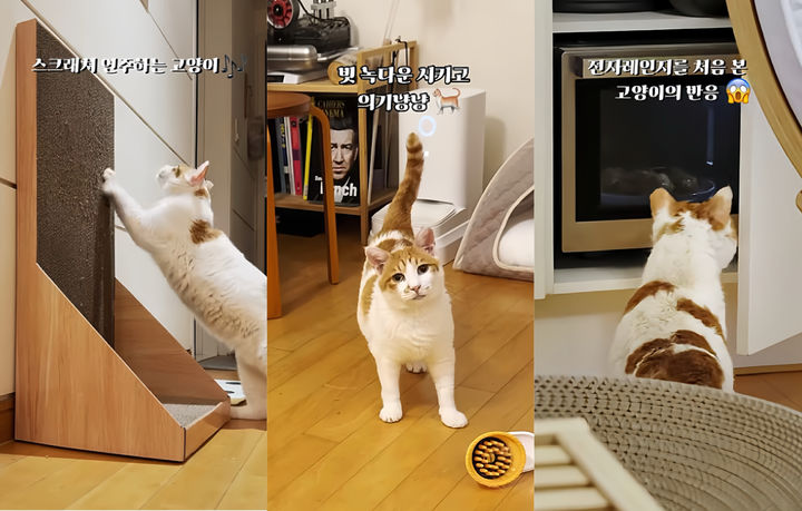 [뉴시스] 꽁꽁이 근황. (출처=유튜브 '5275 오이칠오') *재판매 및 DB 금지