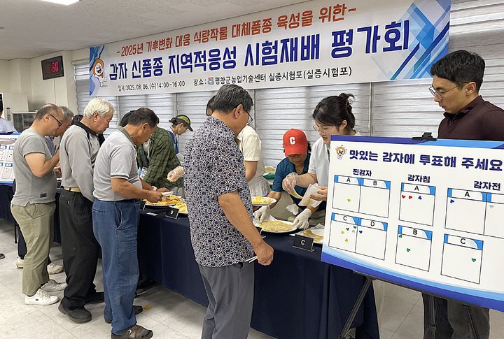 [평창=뉴시스] 기후변화 대응 감자 신품종 시험 재배 평가 모습. (사진=평창군 제공) 2025.08.06. photo@newsis.com *재판매 및 DB 금지