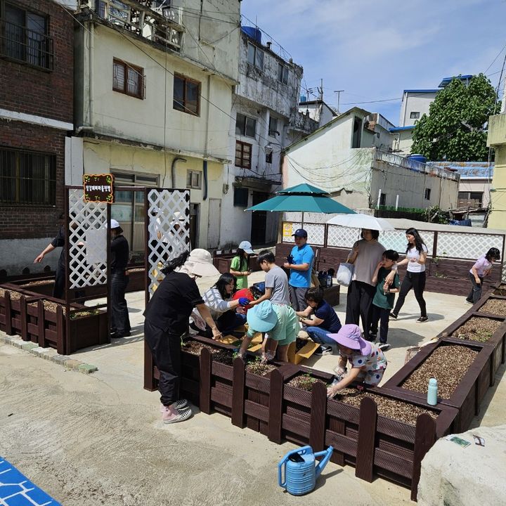 [부산=뉴시스] 부산 부산진구는 빈집 철거 부지에 주민 참여형 텃밭을 조성해 운영 중이다. (사진=부산진구 제공) 2025.08.06. photo@newsis.com *재판매 및 DB 금지