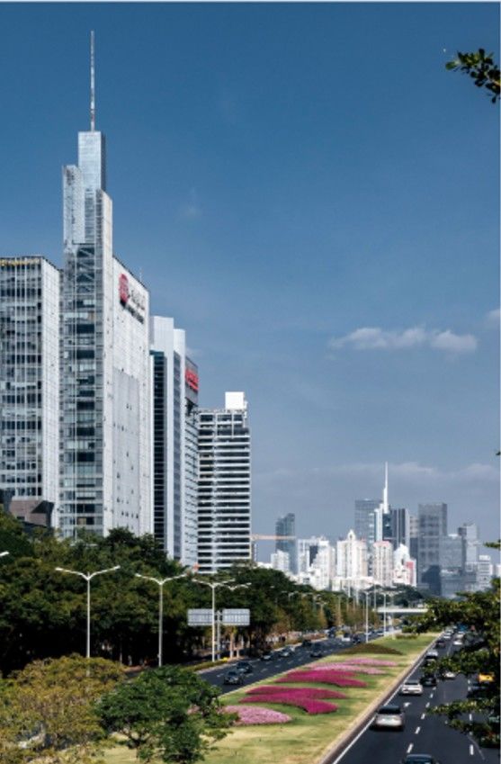 [서울=뉴시스] 중국 광둥성 개혁개방 1번지로도 불렸던 선전의 마천루. (출처: 바이두) 2025.08.06. *재판매 및 DB 금지