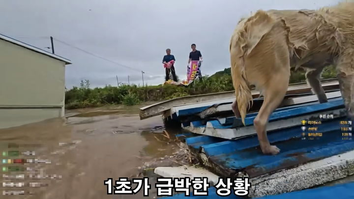 [아산=뉴시스] 당시 유튜브 방송 화면 캡처.(사진= 무대뽀 조성근 유튜브 캡처).2025.08.06.photo@newsis.com *재판매 및 DB 금지
