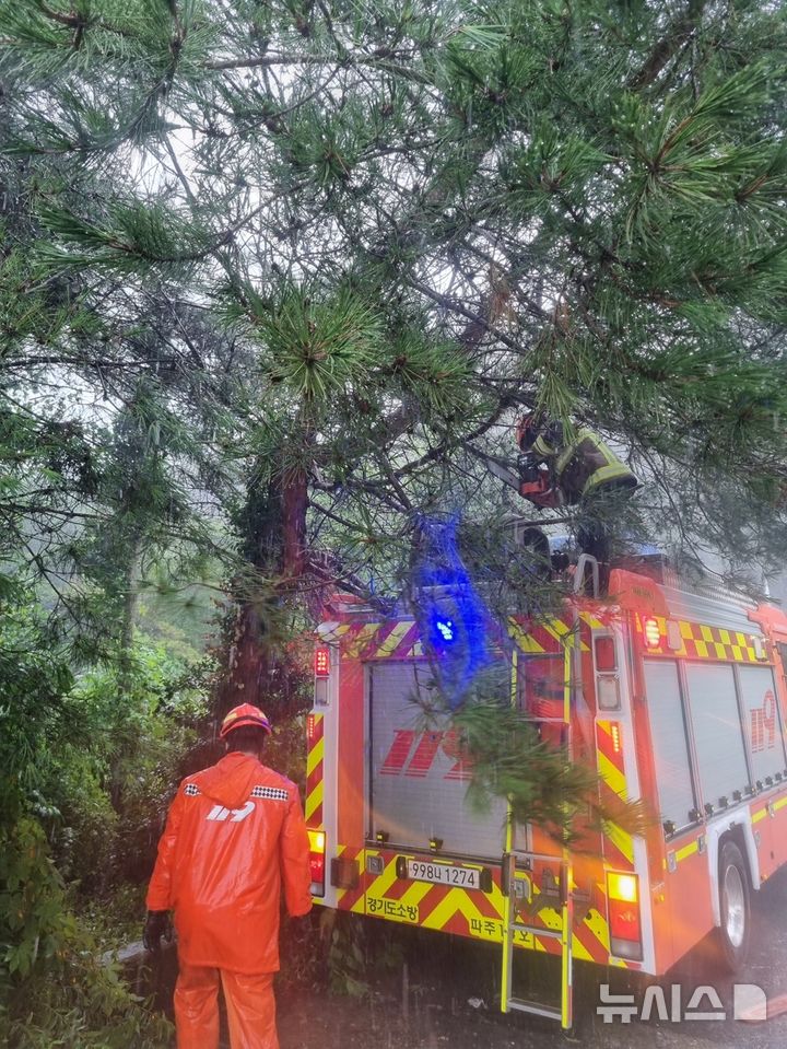 [파주=뉴시스] 6일 오전 10시께 파주시의 한 도로에 나무가 쓰러진다는 신고가 접수돼 소방당국이 안전 조치를 하고 있다. (사진=경기도북부소방재난본부 제공) 2025.08.06 photo@newsis.com