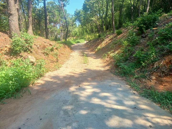 [고성(경남)=뉴시스] 신정철 기자= 경남 고성군은 산불 위험을 줄이기 위한 대독지구 산불예방 숲가꾸기 사업을 추진하는 과정에서, 만림산 일대의 임도 구간이 자연스럽게 정비되어 군민들이 산책하기 좋은 숲길로 새롭게 탄생해 눈길을 끌고 있다고 6일 밝혔다.사진은 만림산 일대의 임도 구간 모습.(사진=고성군 제공).2025.08.06. photo@newsis.com *재판매 및 DB 금지