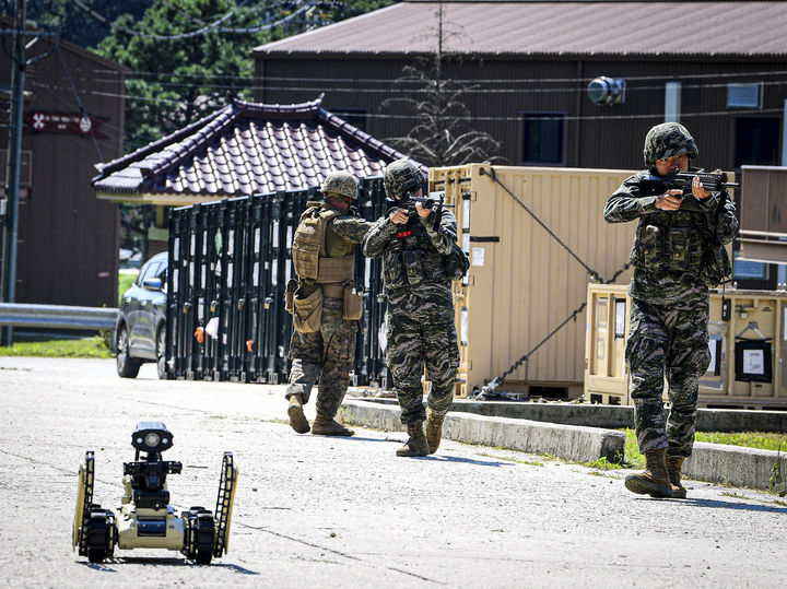 [서울=뉴시스] 김근수 기자 = 한미 해병대 장병들이 경북 포항시 독석리 해변과 조사리 일대에서 KMEP 연합공병훈련 간 초소형 전술지상 로봇으로 폭발물 탐지 훈련을 하고 있다. 해병대는 지난 7월 중순부터 8월까지 미 해병대와 김포, 강화, 포항, 포천, 동두천 등지에서 ’25-2차 KMEP 연합훈련을 실시한다고 밝혔다. (사진 = 해병대 제공) 2025.08.06. photo@newsis.com *재판매 및 DB 금지