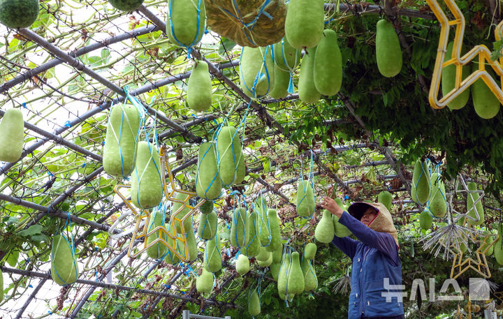 전북 낮 29~32도 '가끔 구름'…식중독·자외선 주의해야