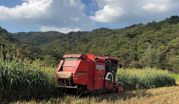 조사료 공급 불안 대응…농식품부, 공급·유통·소비 확대 추진