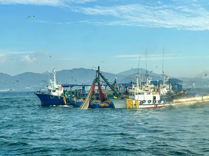 [거제=뉴시스] 신정철 기자= 7일 오전 8시 31분께 경남 거제시 일운면 외도 남서방 약 2km 해상에서 조업중이던 거제선적 23t급 기선권현망어선 A호(승선원 5명)에서 외국인 선원 2명이 줄이 맞아 부상을 입었다. 사진은 통영해양경찰서가 사고신고를 접수받고 인도네시아 선원 B씨(34·남)를 수색하고 있다.(사진=통영해경 제공).2025.08.07, photo@newsis.com *재판매 및 DB 금지