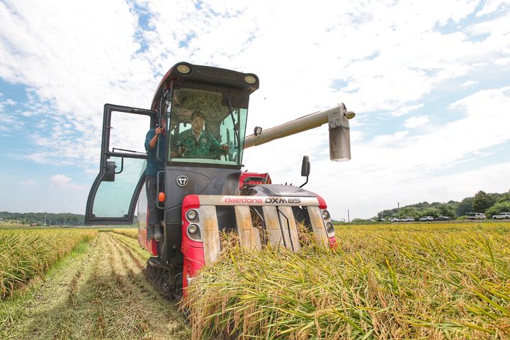 [당진=뉴시스] 오성환 당진시장이 7일 송악면 반촌리 시범단지에서 콤바인에 올라 올해 첫 빠르미향 수확에 나서고 있다. (사진=당진시 제공) 2025.08.07. photo@newsis.com *재판매 및 DB 금지