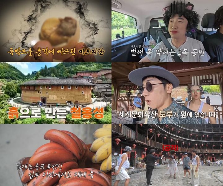 [서울=뉴시스] 오는 9일 오후 9시 방송하는 채널S 예능 프로그램 '니돈내산 독박투어4'에선 출연진 김대희·김준호·장동민·유세윤·홍인규가 중국 샤먼으로 여행을 떠난다. (사진=채널S 제공) 2025.08.07. photo@newsis.com *재판매 및 DB 금지